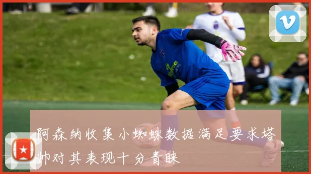 阿森纳收集小蜘蛛数据满足要求塔帅对其表现十分青睐